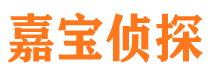 长丰侦探调查公司